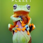 دانلود سریال Mysterious Planet