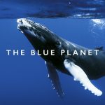 دانلود مستند سیاره آبی The Blue Planet